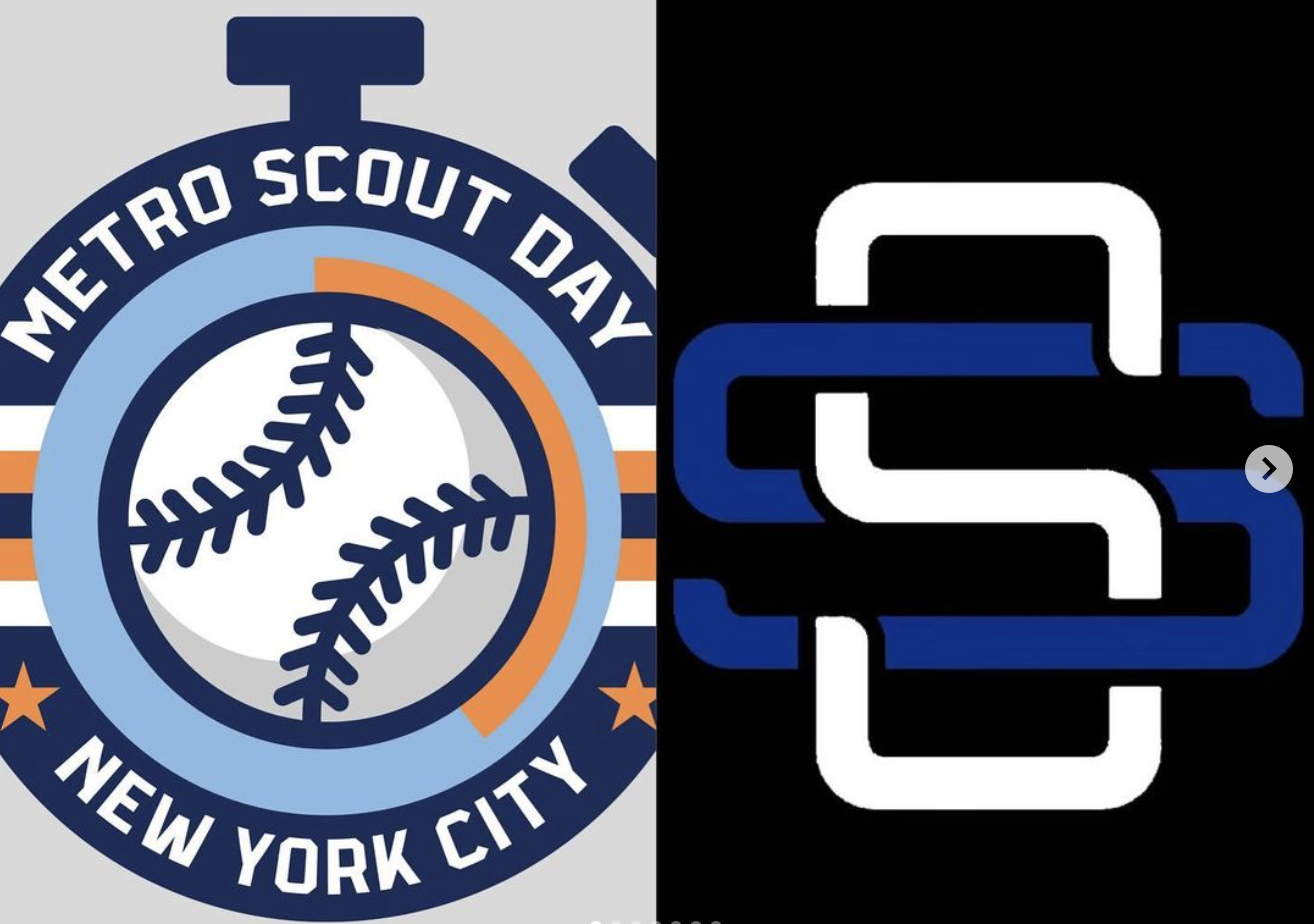 Metro Scout Day